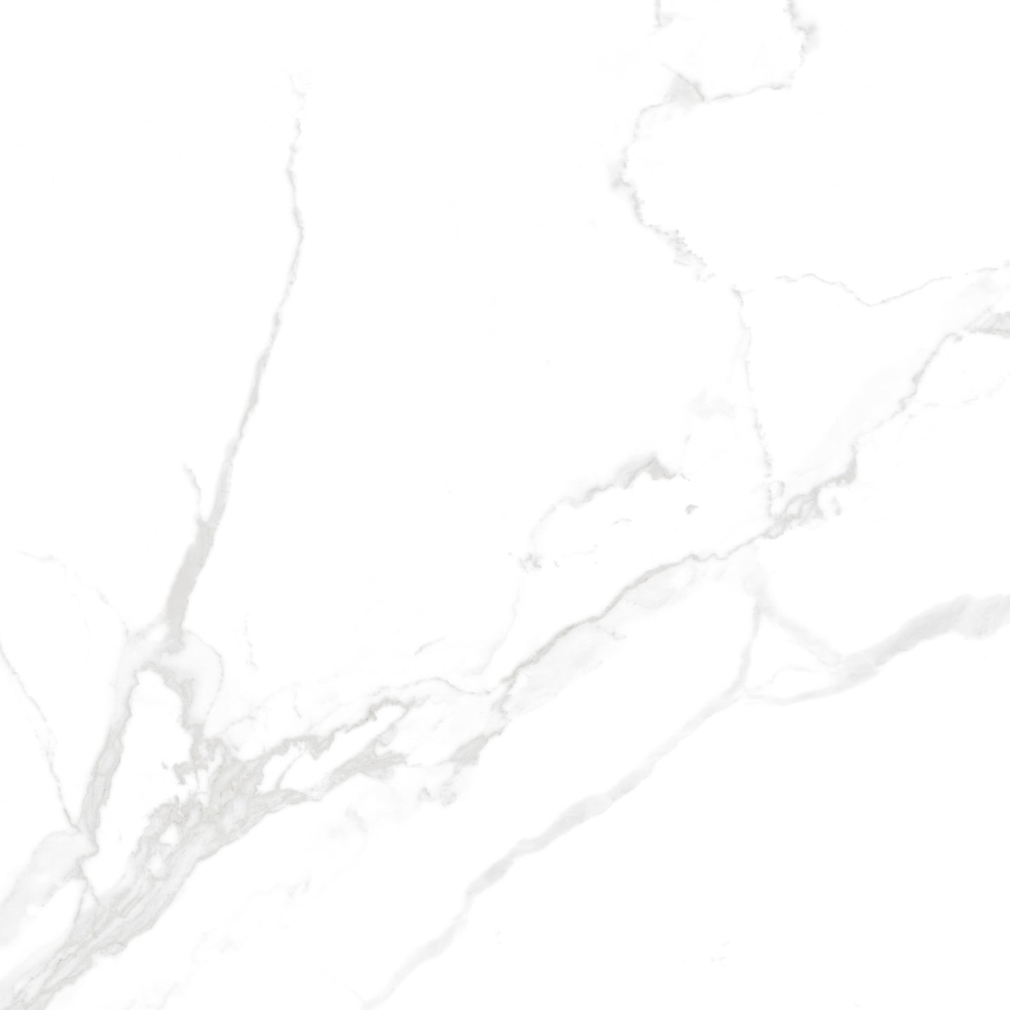 Pietra Carrara Matt 120x120cm